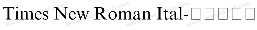 Times New Roman Ital字体转换